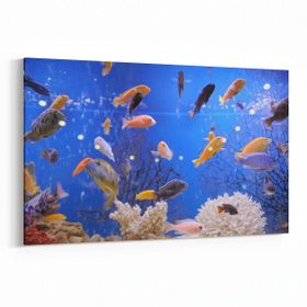 Olla 12088Y Akvaryum Balık Görseli Yatay 30x20 cm Kanvas Tablo