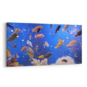 Olla 12088YD Akvaryum Balık Görseli Yatay Dar 60x30 cm Kanvas Tablo