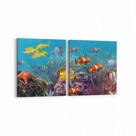 Olla 12091K2Y Akvaryum Balık Görseli Kare 2 Parça Yatay 65x30 cm Kanvas Tablo