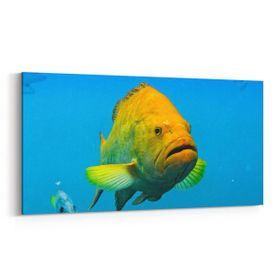 Olla 12092YD Akvaryum Balık Görseli Yatay Dar 60x30 cm Kanvas Tablo