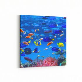 Olla 12093K Akvaryum Balık Görseli Kare 25x25 cm Kanvas Tablo