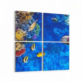 Olla 12096K4 Akvaryum Balık Görseli Kare 4 Parça 65x65 cm Kanvas Tablo