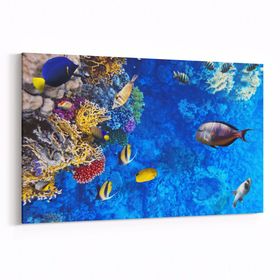 Olla 12096Y Akvaryum Balık Görseli Yatay 30x20 cm Kanvas Tablo