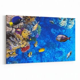 Olla 12096Y Akvaryum Balık Görseli Yatay 30x20 cm Kanvas Tablo