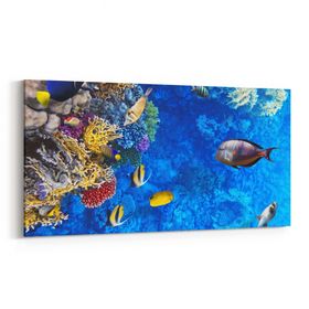 Olla 12096YD Akvaryum Balık Görseli Yatay Dar 60x30 cm Kanvas Tablo