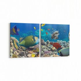 Olla 12098K2Y Akvaryum Balık Görseli Kare 2 Parça Yatay 65x30 cm Kanvas Tablo