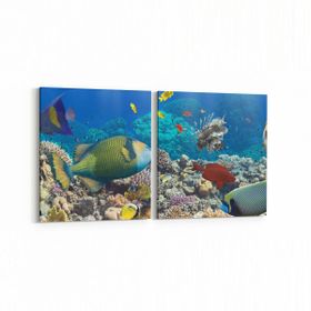 Olla 12098K2Y Akvaryum Balık Görseli Kare 2 Parça Yatay 65x30 cm Kanvas Tablo