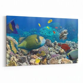Olla 12098Y Akvaryum Balık Görseli Yatay 30x20 cm Kanvas Tablo