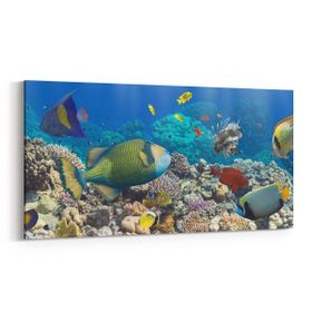 Olla 12098YD Akvaryum Balık Görseli Yatay Dar 60x30 cm Kanvas Tablo