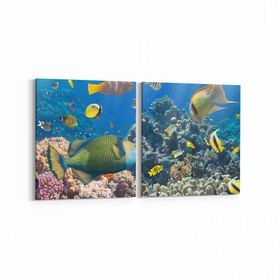 Olla 12099K2Y Akvaryum Balık Görseli Kare 2 Parça Yatay 65x30 cm Kanvas Tablo