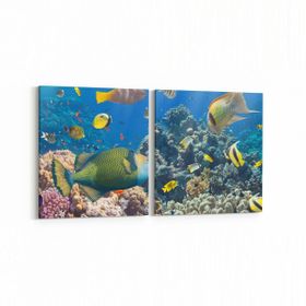 Olla 12099K2Y Akvaryum Balık Görseli Kare 2 Parça Yatay 65x30 cm Kanvas Tablo
