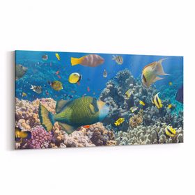 Olla 12099YD Akvaryum Balık Görseli Yatay Dar 60x30 cm Kanvas Tablo