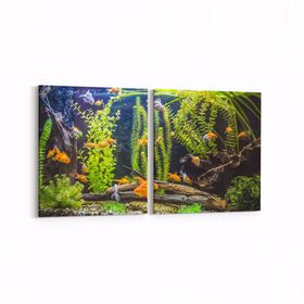 Olla 12100K2Y Akvaryum Balık Görseli Kare 2 Parça Yatay 65x30 cm Kanvas Tablo
