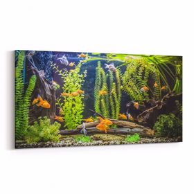 Olla 12100YD Akvaryum Balık Görseli Yatay Dar 60x30 cm Kanvas Tablo