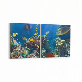 Olla 12101K2Y Akvaryum Balık Görseli Kare 2 Parça Yatay 65x30 cm Kanvas Tablo