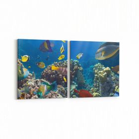 Olla 12101K2Y Akvaryum Balık Görseli Kare 2 Parça Yatay 65x30 cm Kanvas Tablo