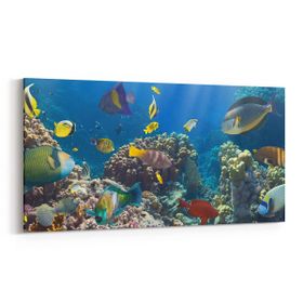 Olla 12101YD Akvaryum Balık Görseli Yatay Dar 60x30 cm Kanvas Tablo