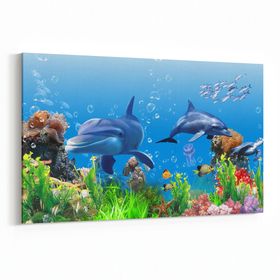 Olla 12102Y Akvaryum Balık Görseli Yatay 30x20 cm Kanvas Tablo