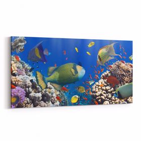 Olla 12103YD Akvaryum Balık Görseli Yatay Dar 60x30 cm Kanvas Tablo