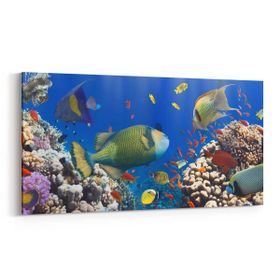 Olla 12103YD Akvaryum Balık Görseli Yatay Dar 60x30 cm Kanvas Tablo