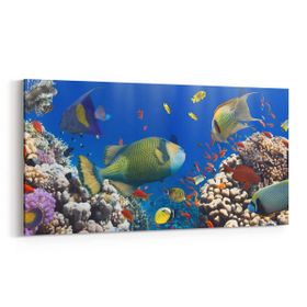 Olla 12103YD Akvaryum Balık Görseli Yatay Dar 60x30 cm Kanvas Tablo