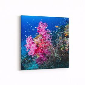 Olla 12104K Akvaryum Balık Görseli Kare 25x25 cm Kanvas Tablo