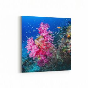Olla 12104K Akvaryum Balık Görseli Kare 25x25 cm Kanvas Tablo