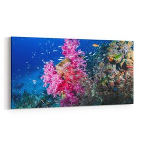 Olla 12104YD Akvaryum Balık Görseli Yatay Dar 60x30 cm Kanvas Tablo