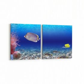 Olla 12106K2Y Akvaryum Balık Görseli Kare 2 Parça Yatay 65x30 cm Kanvas Tablo