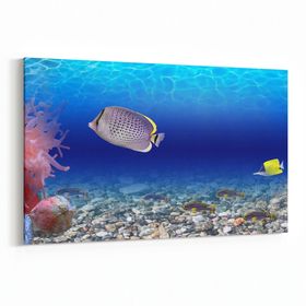 Olla 12106Y Akvaryum Balık Görseli Yatay 30x20 cm Kanvas Tablo