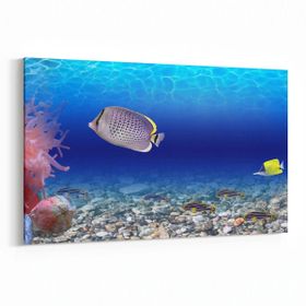 Olla 12106Y Akvaryum Balık Görseli Yatay 30x20 cm Kanvas Tablo