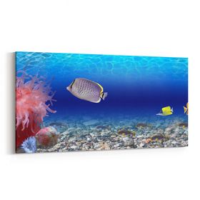 Olla 12106YD Akvaryum Balık Görseli Yatay Dar 60x30 cm Kanvas Tablo