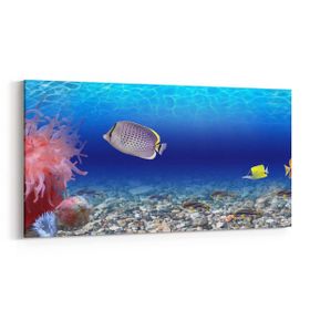 Olla 12106YD Akvaryum Balık Görseli Yatay Dar 60x30 cm Kanvas Tablo