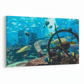 Olla 12107Y Akvaryum Balık Görseli Yatay 30x20 cm Kanvas Tablo
