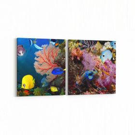 Olla 12109K2Y Akvaryum Balık Görseli Kare 2 Parça Yatay 65x30 cm Kanvas Tablo