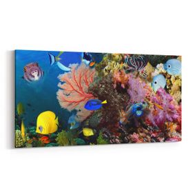 Olla 12109YD Akvaryum Balık Görseli Yatay Dar 60x30 cm Kanvas Tablo