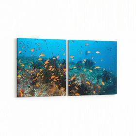 Olla 12111K2Y Akvaryum Balık Görseli Kare 2 Parça Yatay 65x30 cm Kanvas Tablo