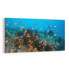 Olla 12111YD Akvaryum Balık Görseli Yatay Dar 60x30 cm Kanvas Tablo