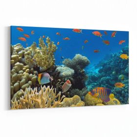 Olla 12112Y Akvaryum Balık Görseli Yatay 30x20 cm Kanvas Tablo