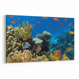 Olla 12112Y Akvaryum Balık Görseli Yatay 30x20 cm Kanvas Tablo