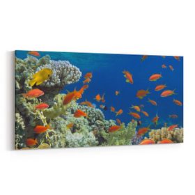 Olla 12113YD Akvaryum Balık Görseli Yatay Dar 60x30 cm Kanvas Tablo
