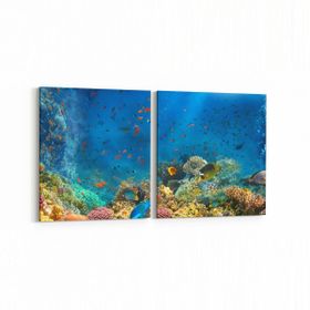 Olla 12115K2Y Akvaryum Balık Görseli Kare 2 Parça Yatay 65x30 cm Kanvas Tablo