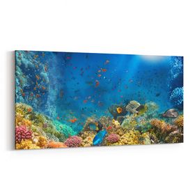 Olla 12115YD Akvaryum Balık Görseli Yatay Dar 60x30 cm Kanvas Tablo
