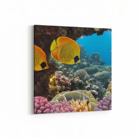 Olla 12117K Akvaryum Balık Görseli Kare 25x25 cm Kanvas Tablo