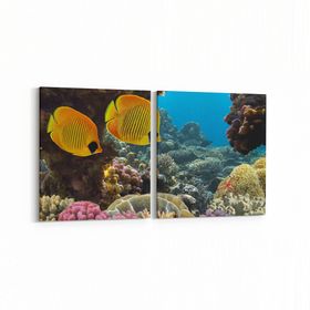 Olla 12117K2Y Akvaryum Balık Görseli Kare 2 Parça Yatay 65x30 cm Kanvas Tablo
