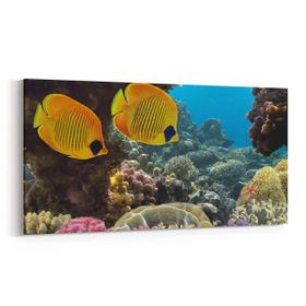 Olla 12117YD Akvaryum Balık Görseli Yatay Dar 60x30 cm Kanvas Tablo