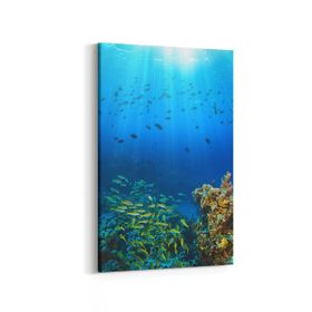 Olla 12118D Akvaryum Balık Görseli Dikey 20x30 cm Kanvas Tablo