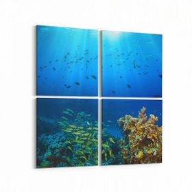 Olla 12118K4 Akvaryum Balık Görseli Kare 4 Parça 65x65 cm Kanvas Tablo