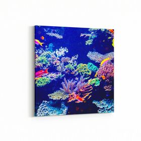 Olla 12119K Akvaryum Balık Görseli Kare 25x25 cm Kanvas Tablo