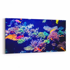 Olla 12119YD Akvaryum Balık Görseli Yatay Dar 60x30 cm Kanvas Tablo